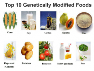 genetic foods7