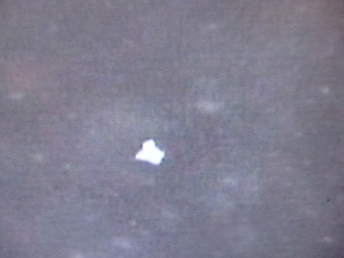 Moon Pidgeon - NASA UFO Under Apollo